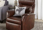 Paramount Leather Recliner -Sol Truffle