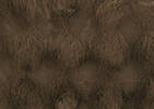 Zoey Faux Fur Throw Brown