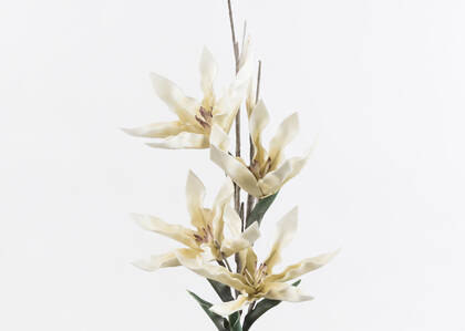 Tige de fleur Sif blanche