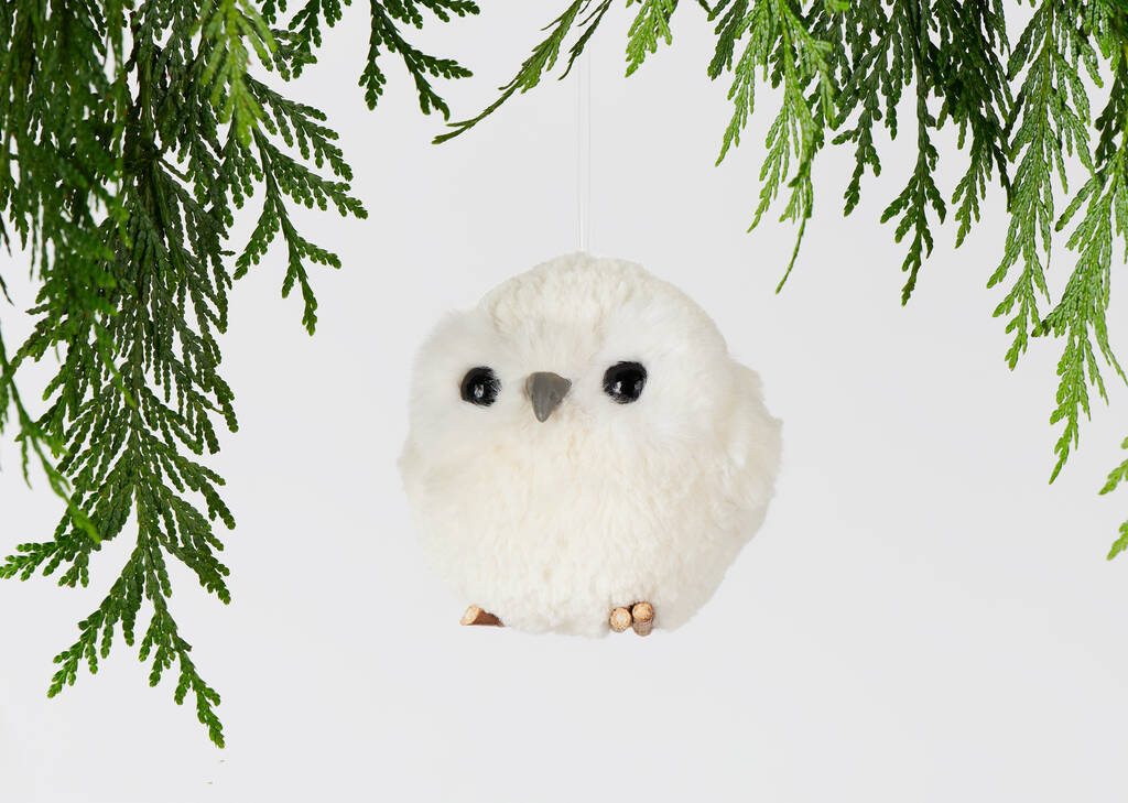 Orn. chouette Hadwig blanc