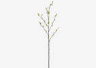 Aliana Plum Blossom Branch