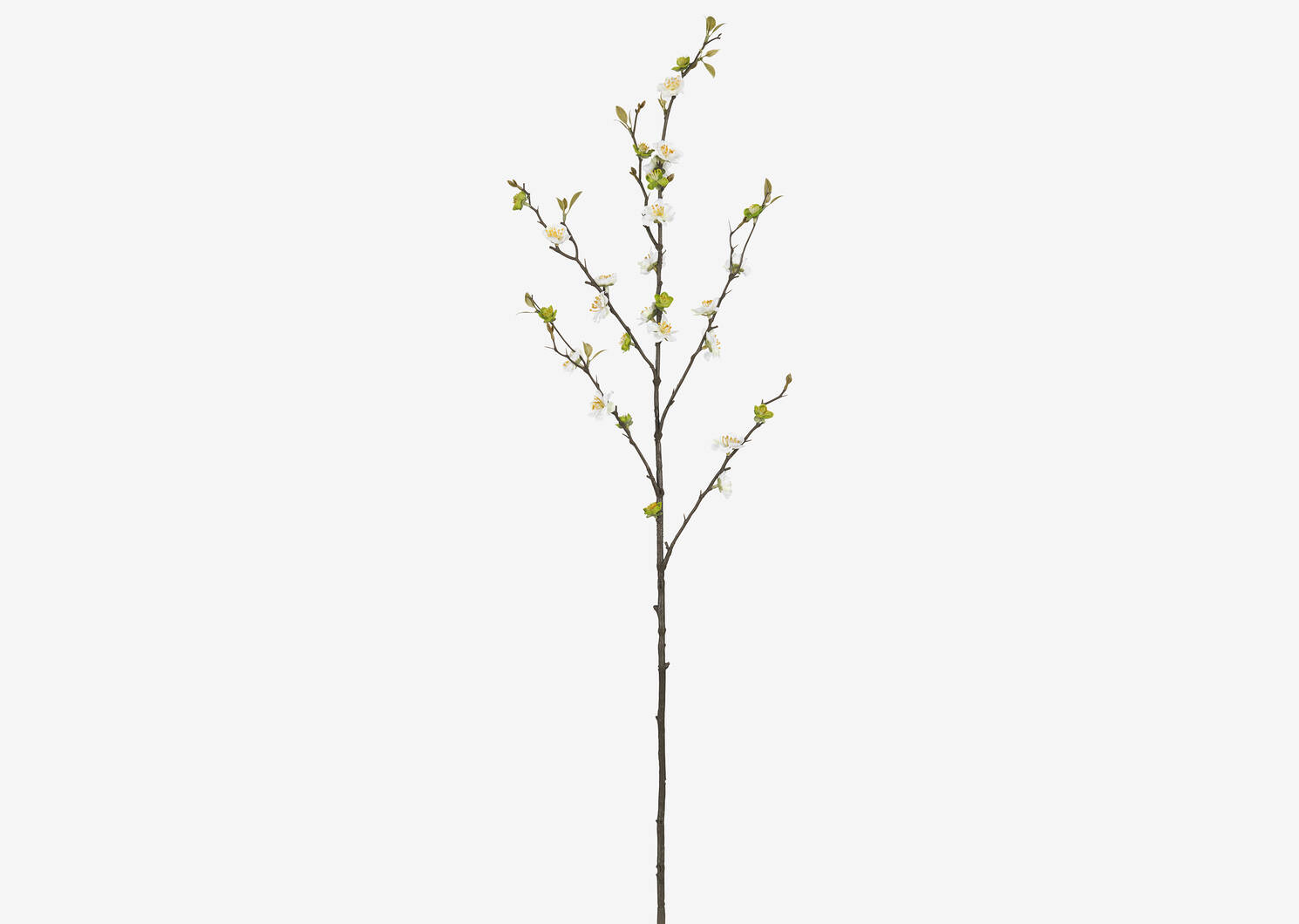Aliana Plum Blossom Branch