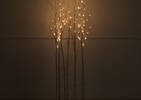 Illume Birch Branches
