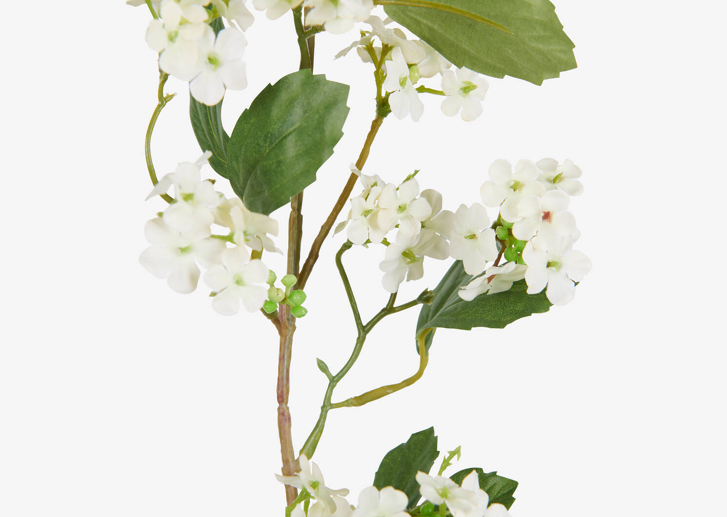 Lilia Viburnum Branch Ivory