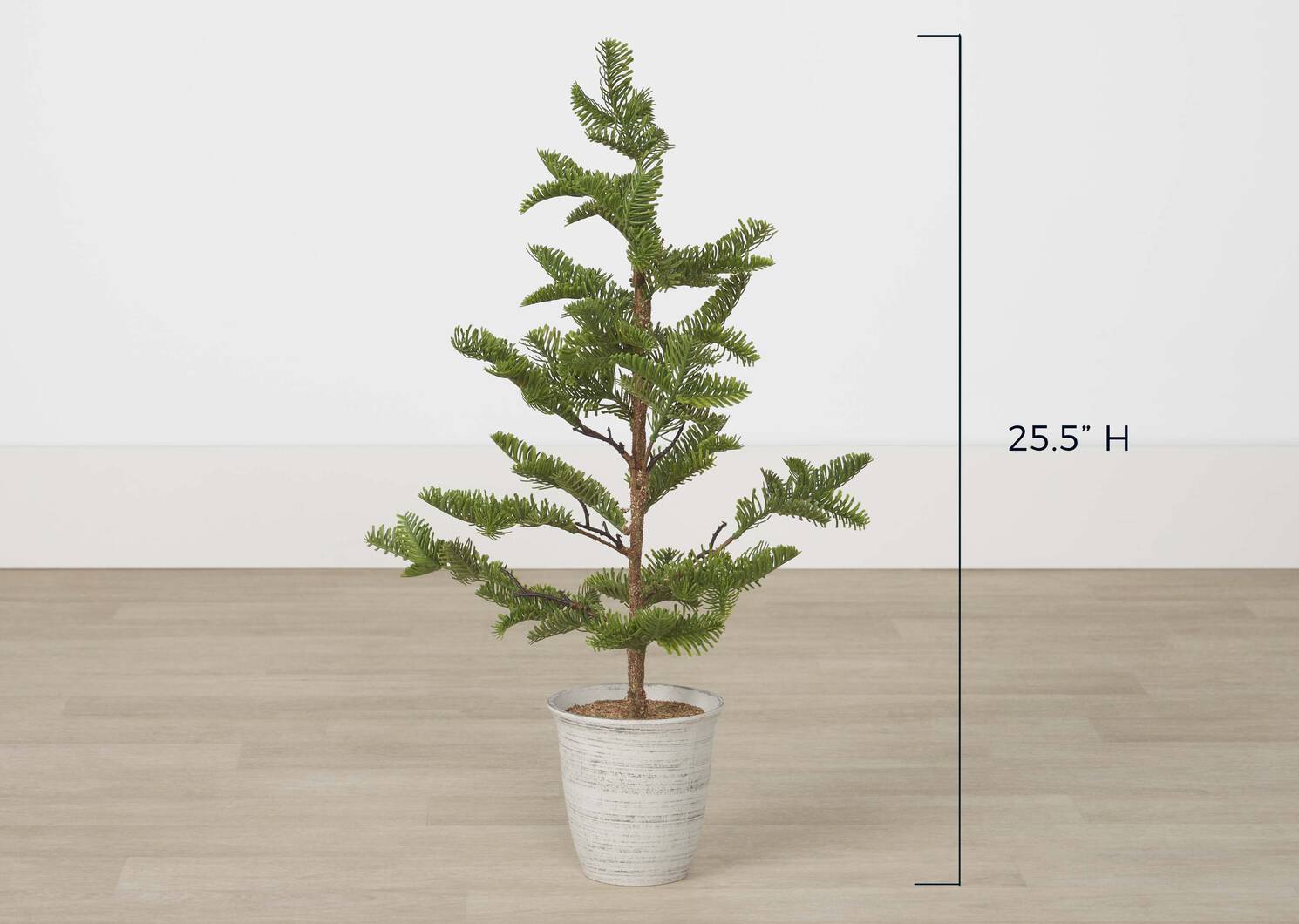 Evergreen Tree Potted Small