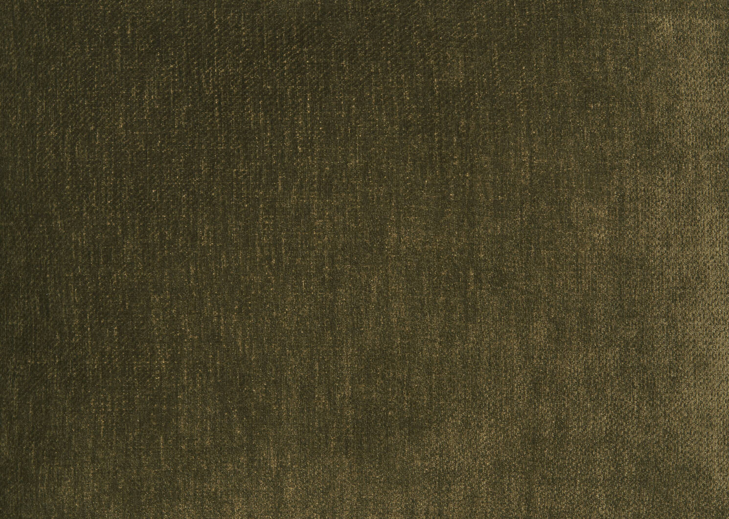 Louella Chair -Ara Olive
