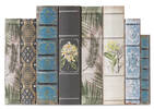 Illustration Book Box Large Ivory