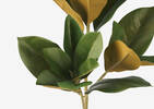 Branche de feuilles de magnolias Gwynn