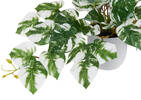 Pothos en pot Marble