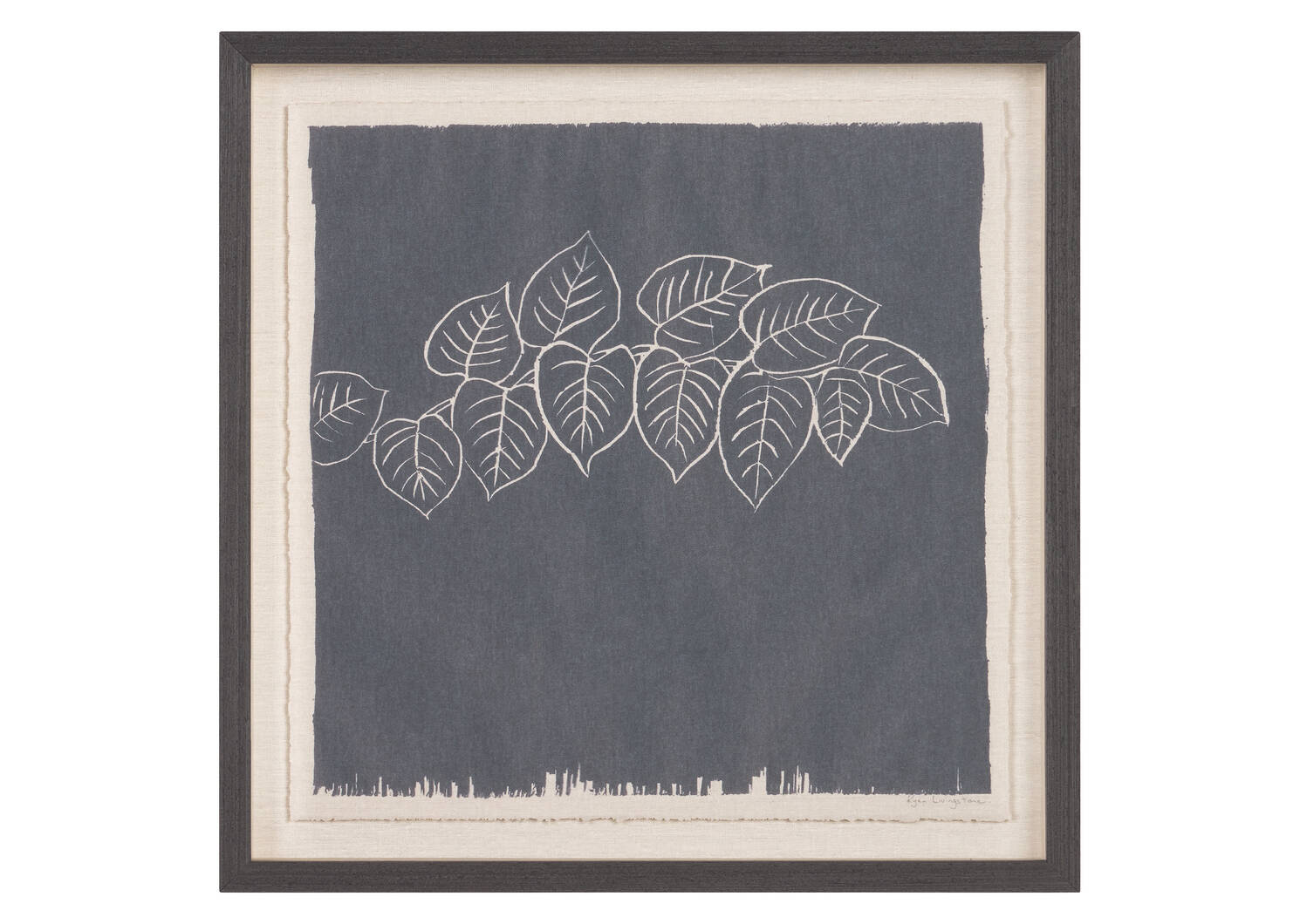 Japanese Knotweed Framed Print