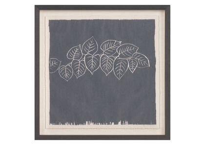 Japanese Knotweed Framed Print