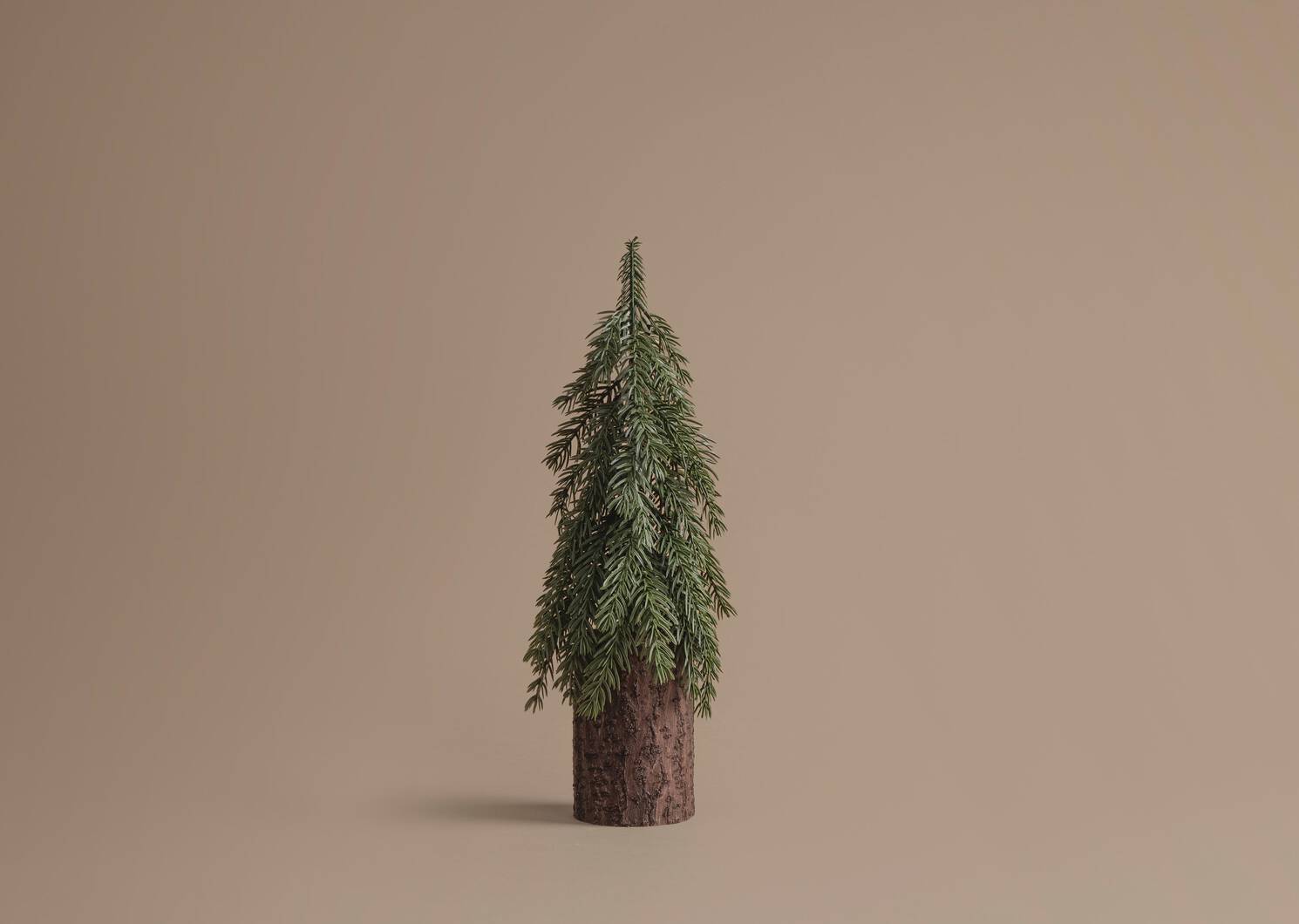 Seymour Tree Small