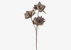 Sibel Flower Bunch Mocha