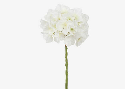 Shae Hydrangea Stem White