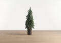 Seymour Tree Large