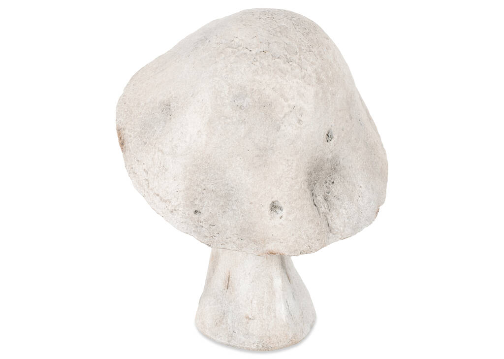 Mushroom Decor