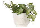 Fleur Planter Medium Speckled White