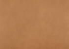 Ciera Leather Counter Stool -Olson Camel