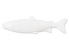 Déco murale poisson Cayman