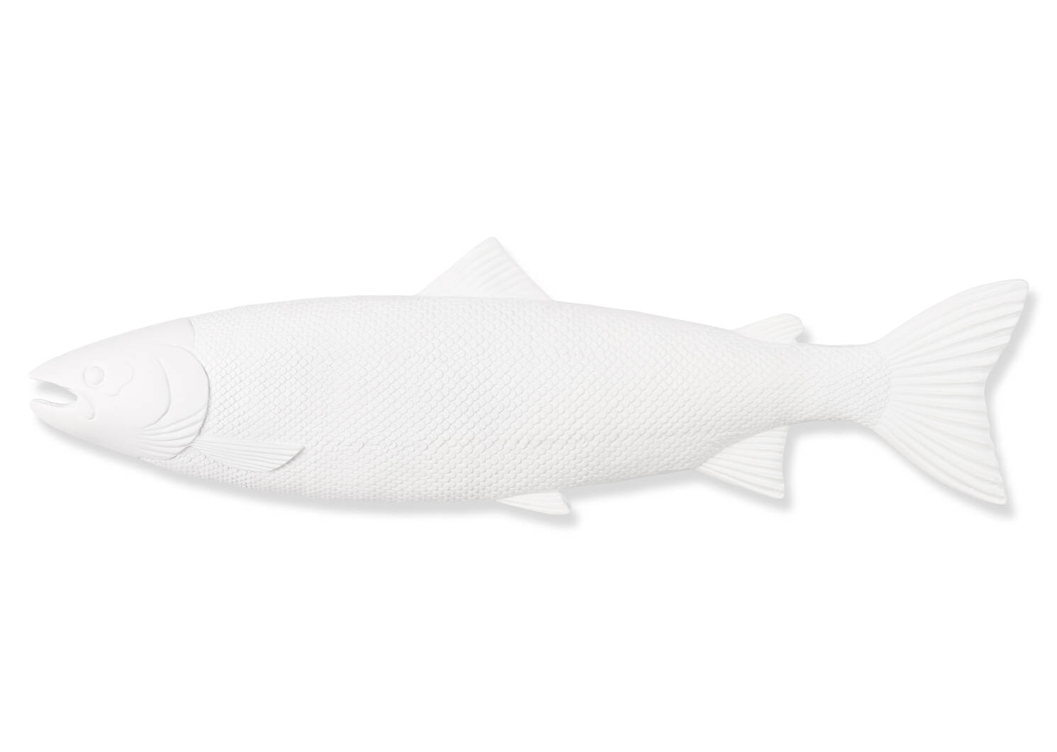 Déco murale poisson Cayman