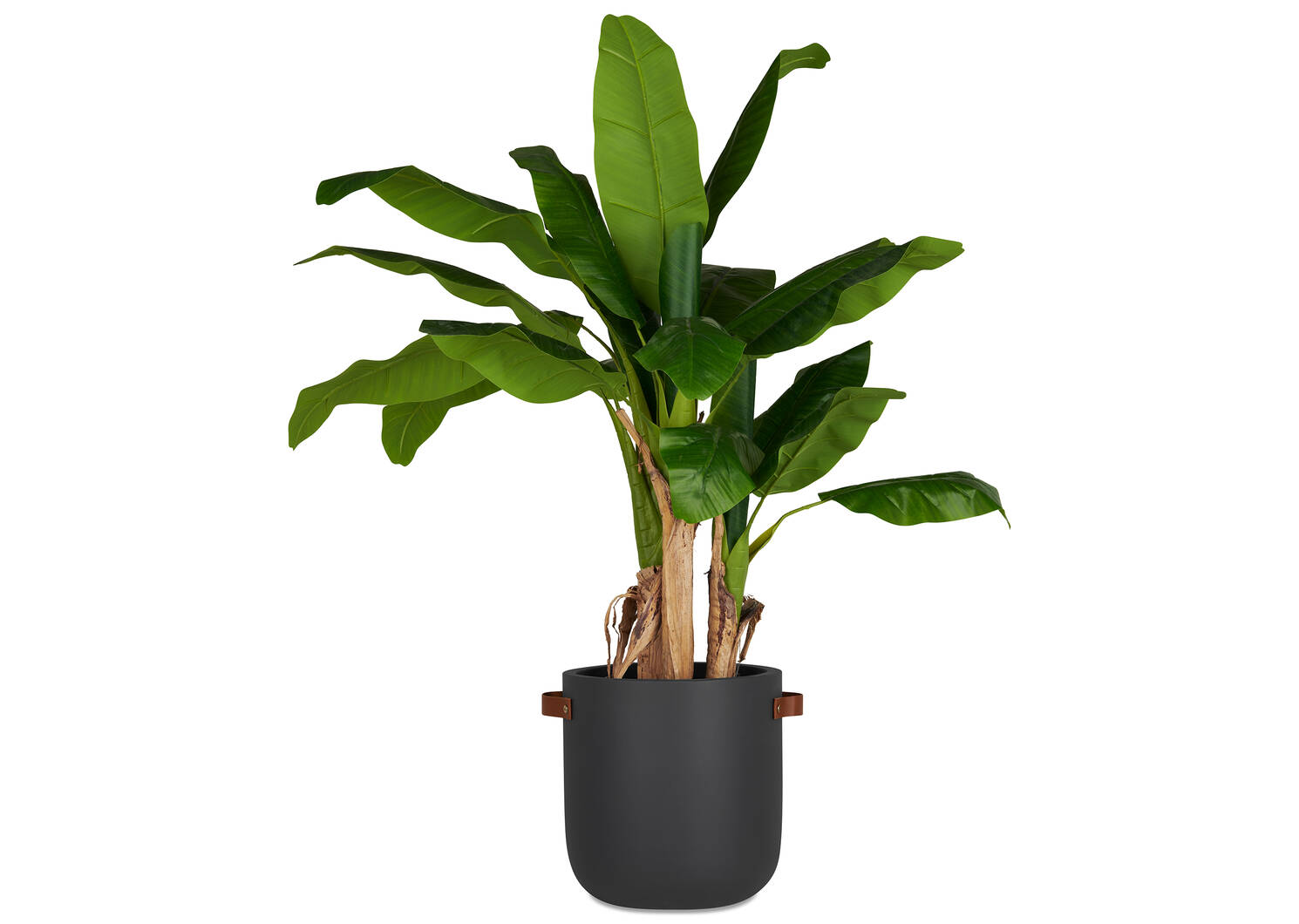 Elgin Planter Medium Dark Grey