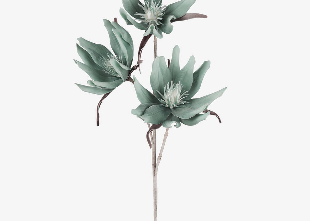 Bouquet de fleurs Kanna sauge