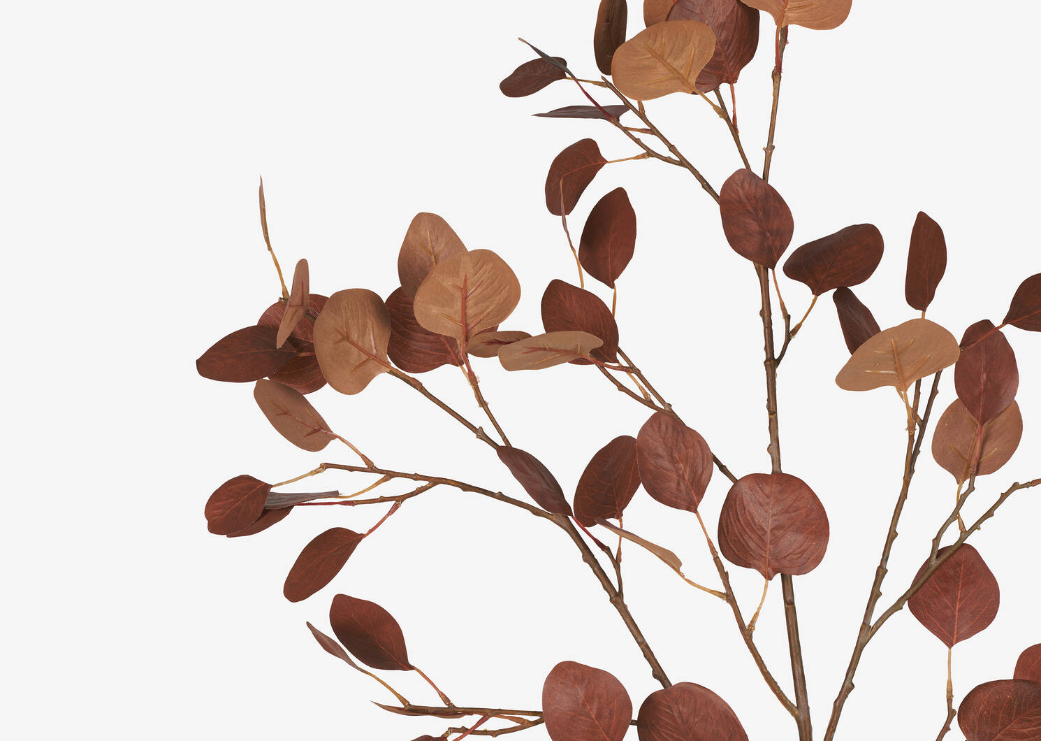 Afton Eucalyptus Branch Orange