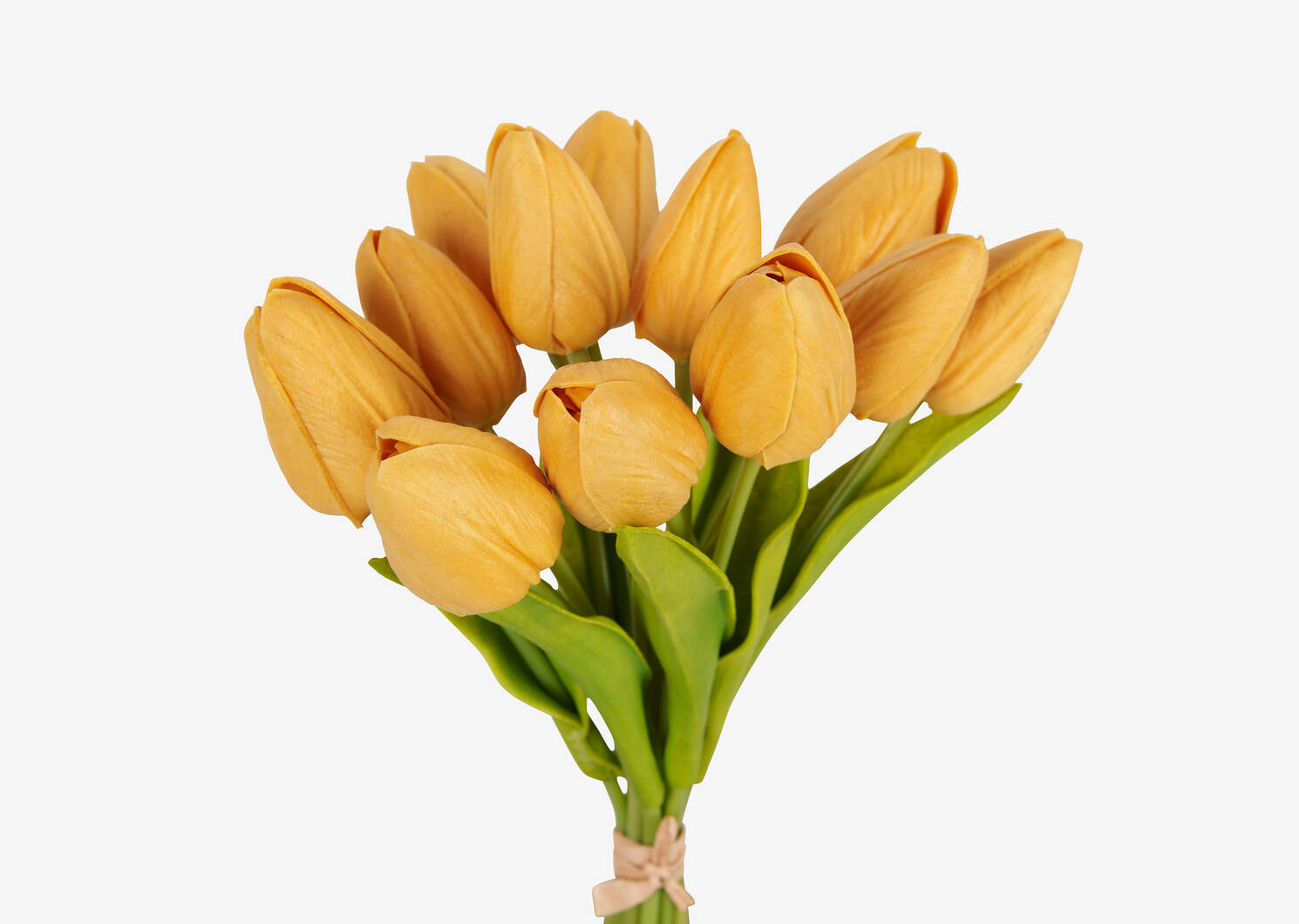 Berdine Tulip Bundle Cornsilk