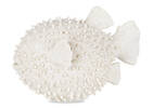 Pacorro Puffer Fish Decor