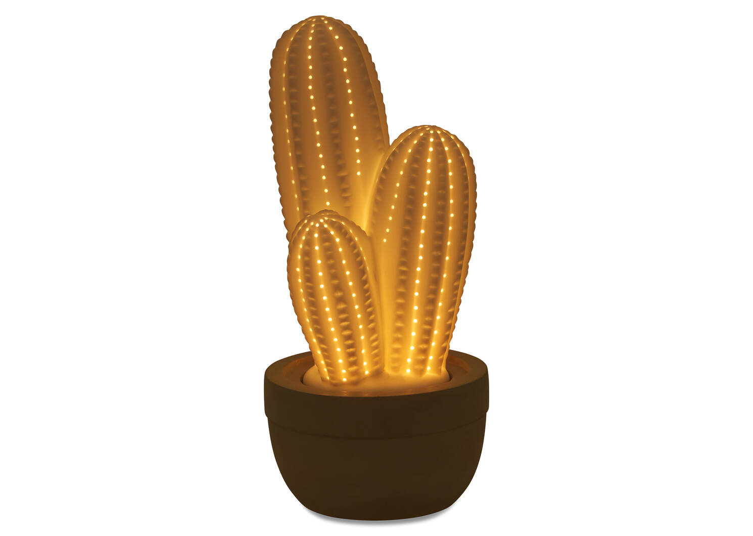 Ally Cactus Glow Lamp