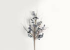 Branche de bleuets givrés Myrtille