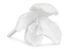 Décos orchidée Evanora -blanches
