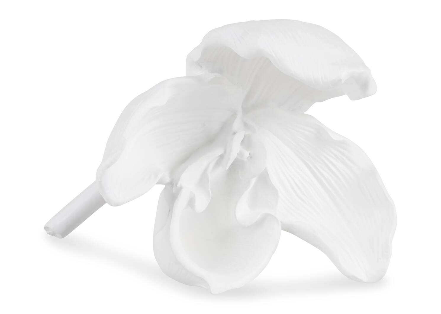Grande déco orchidée Evanora blanche