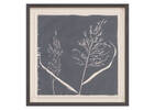 Tableau Common Reed