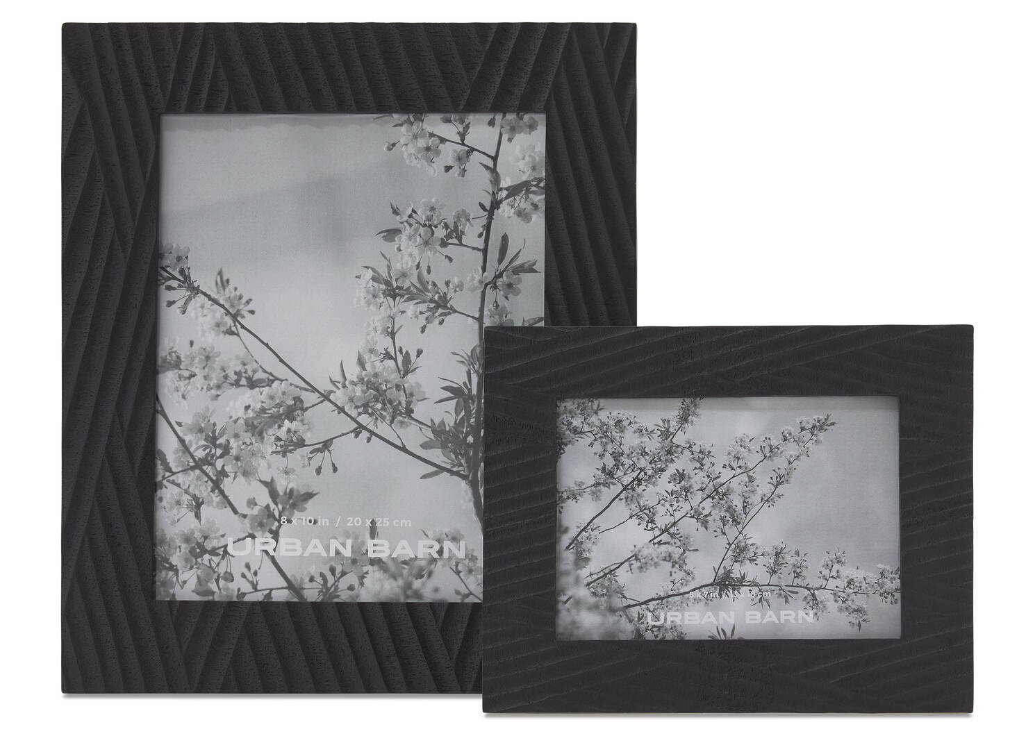 Aurelia Frames -Black