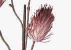 Liya Bud Branch Clay Pink