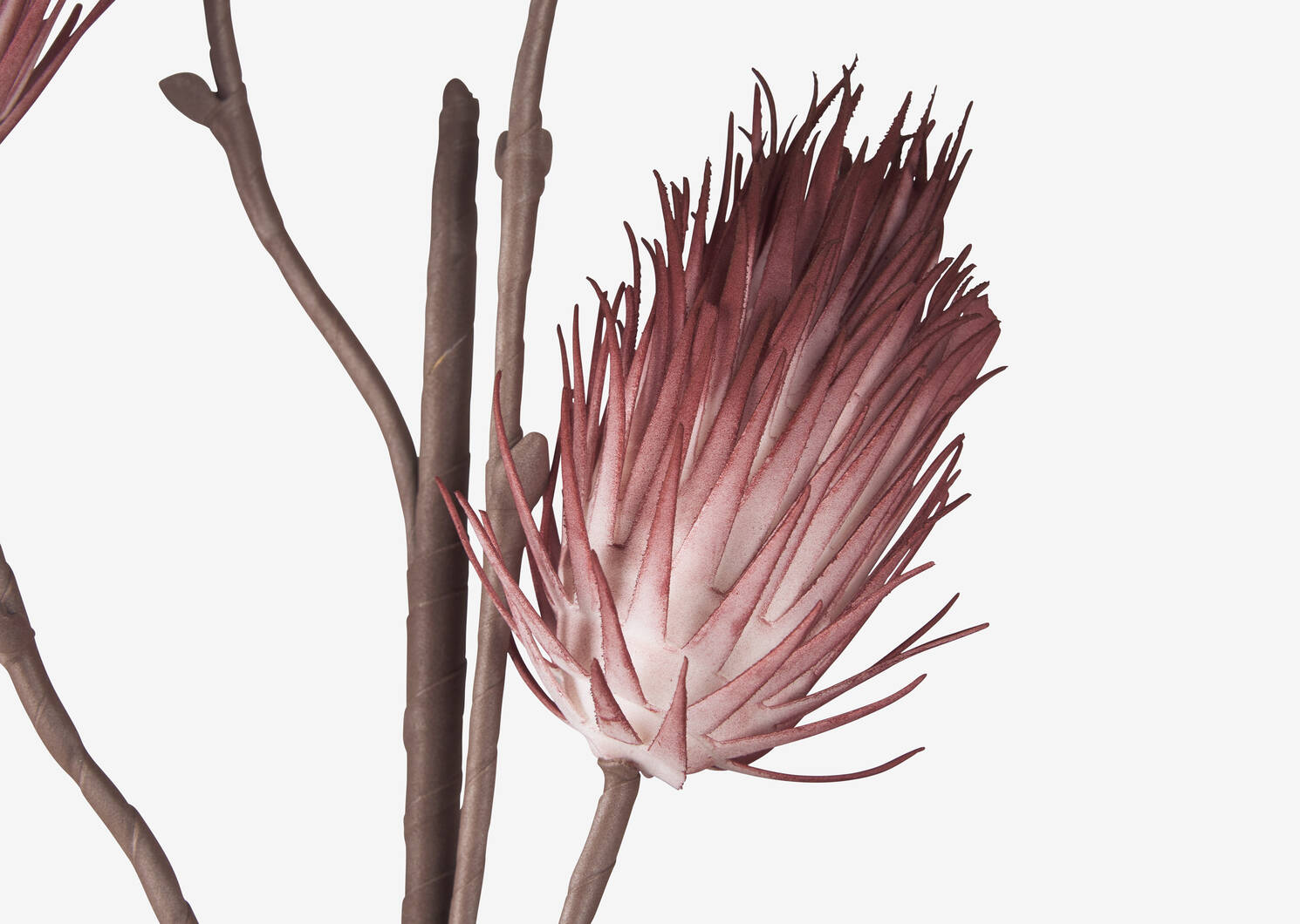 Liya Bud Branch Clay Pink