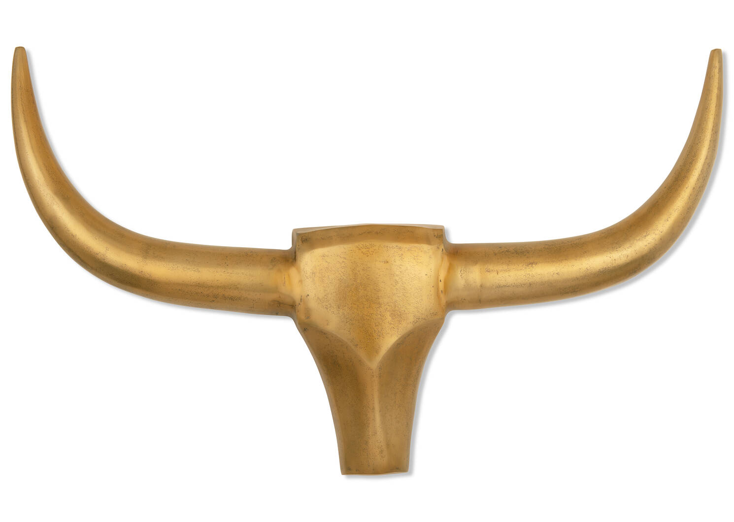 Déco murale tête de longicorne Longhorn
