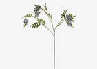 Branche de glycines Byer bleu mer
