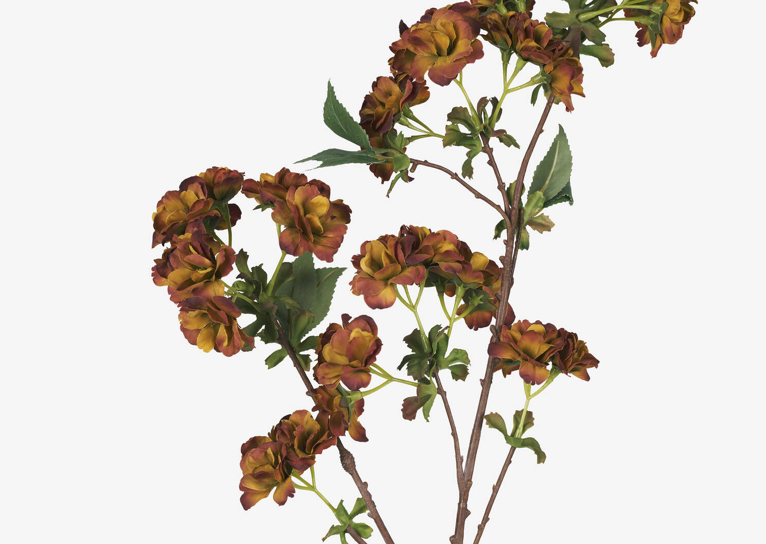 Gabriella Autumn Blossom Stem Marigol