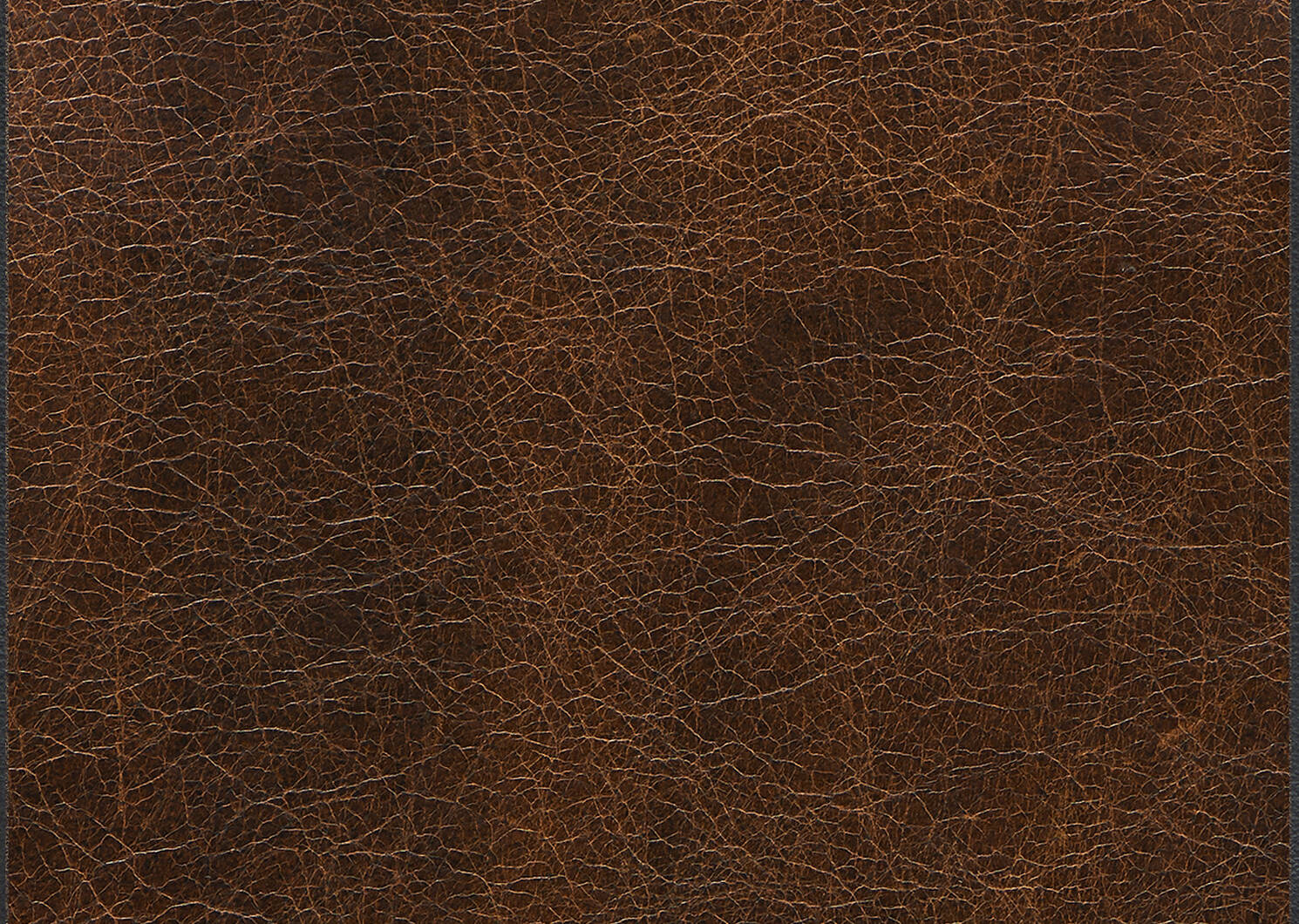Lucca Custom Leather Sofa