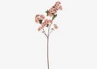 Kya Cherry Blossom Branch Pink Dust