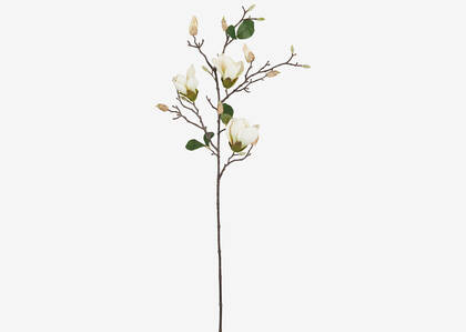 Keery Magnolia Branch Ivory