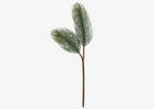 Konos Jumbo Pine Branch