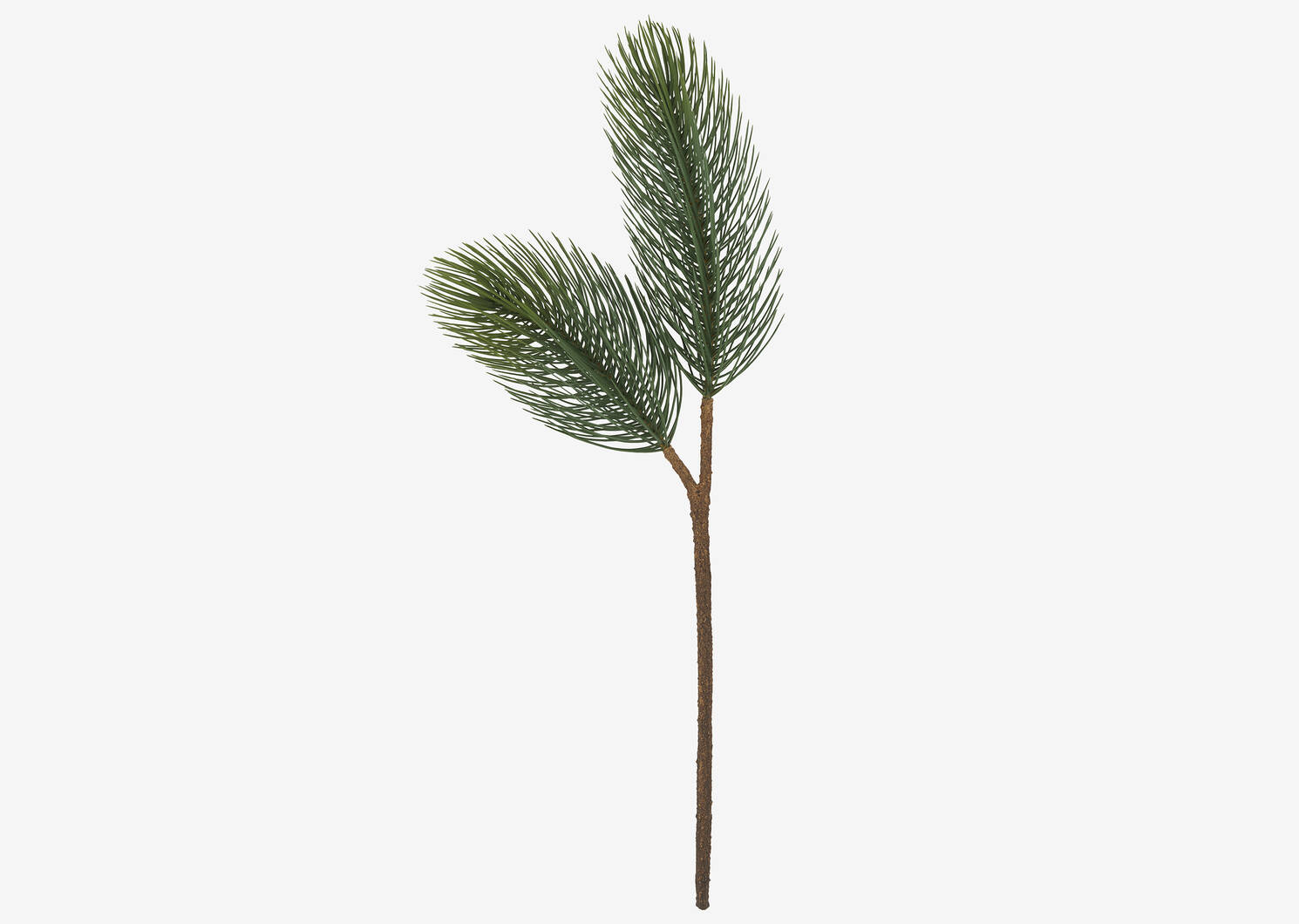 Konos Jumbo Pine Branch