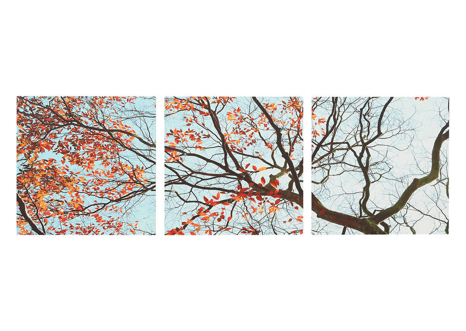 L'automne Wall Art