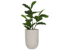 Seela Outdoor Planters