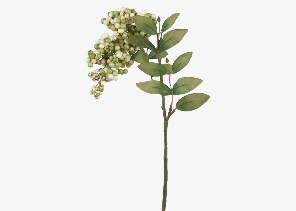 Branche de baie poivrée Delia