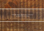 Soria Media Unit -Crue Copper