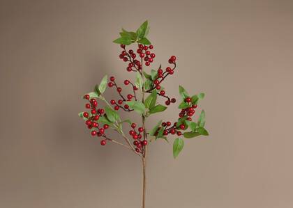 Branche de baies de houx Hollyberry